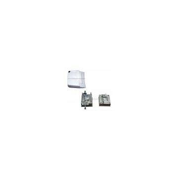 Toilet Mould