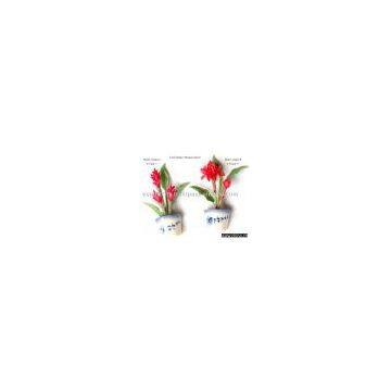 Hawaiian flower pot fridge magnet - torch ginger flower