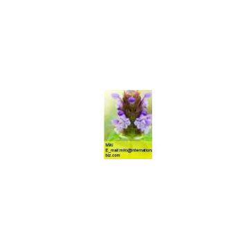 Prunella vulgaris L.