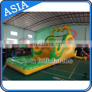 Top Quality Adult Size Inflatable Water Slide For Sale