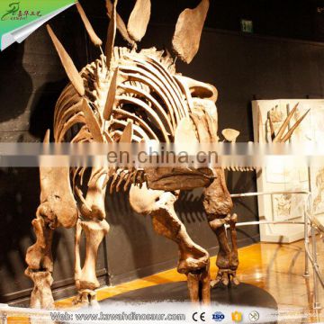 KAWAH Exibithion Life Size Stegosaurus Dinosaurs Fossils For Sale