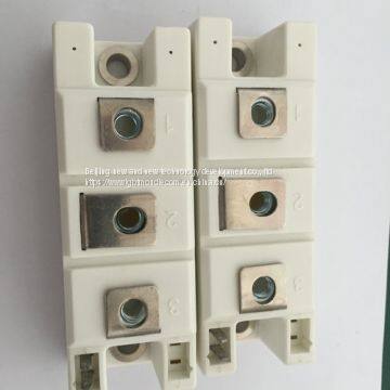 SEMIKRON IGBT Model ：SKM100GAR123D