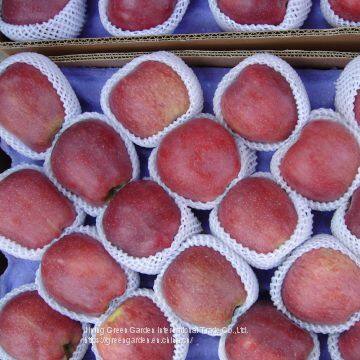 Chinese HuaNiu Apple photo-2