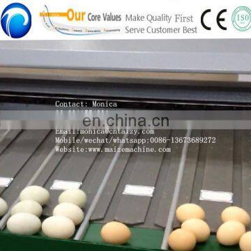 5 Grade Automatic Egg Grading Packing Machine , Egg Weight Grading Machine photo-6