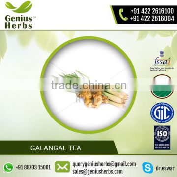 Top Supplier of Galangal Tea for Mass Purchase at Lowest Rate