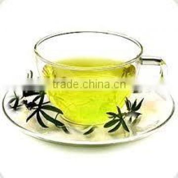 High quality Green tea for Bulk Export