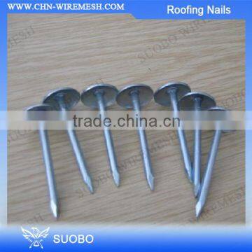 Hot Sale!!! Plastic Cap Roofing Nails, Umbrella Head Roofing Nails, Colored Head Roofing Nails With Washer