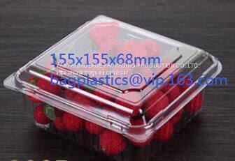 Plastic disposable food/sushi tray,Wholesale Plastic Pe Blister Frozen Food Tray/Meat Tray/Fruit Tray bagease bagplastic