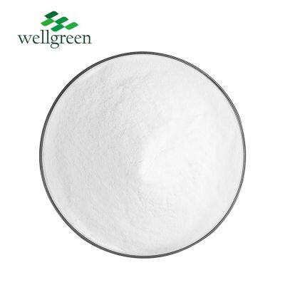 Wellgreen OEM High Quality Vitamin B1 Powder Thiamine Mononitrate 532-43-4