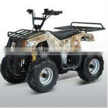 2013 cheap made in China 110cc quad atv