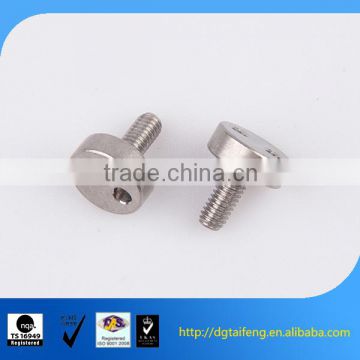 Pan head stainless steel two hole security screw