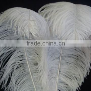 White Bulk Ostrich Feather For Wedding Centerpieces Decoration