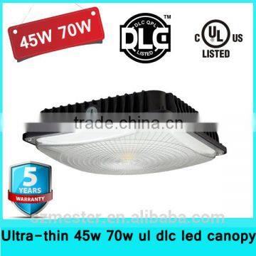 Superior Lighting 45w Led Ceiling Mount Canopy or Garage Light led