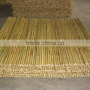 Bamboo fence Sun-005