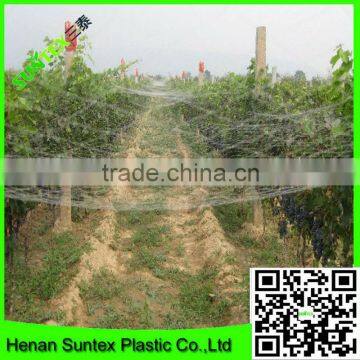 High Quality Virgin HDPE Crops Top Cover Anti-bird Stretch Net photo-3