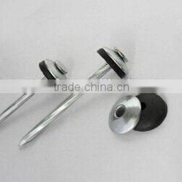 Umbrella Head Roofing Nails with Rubber Washer