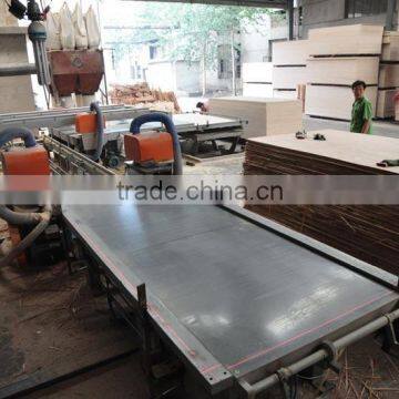 Woodworking Saw/cutting Machine /plywood Table Saw/DD Saw/Plywood Triming Saw photo-3