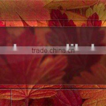 3 Inch Car Dvd With Touch Screen, With USB/SD, AM/FM Private Tooling photo-6