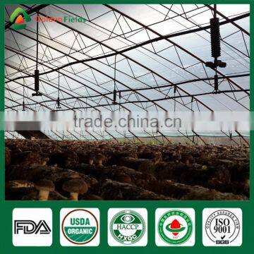 Anti-cancer Edibal Fungus Healthy Food Greenhouse Production Cap Stem Wholepart Fresh Dried Shiitake Mushroom photo-5