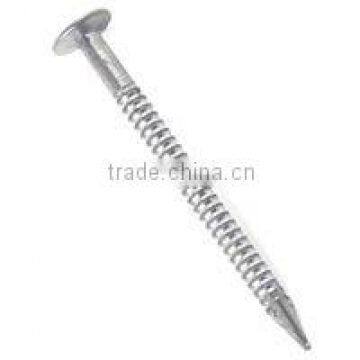 own factory of ring shank nail producer and exporter