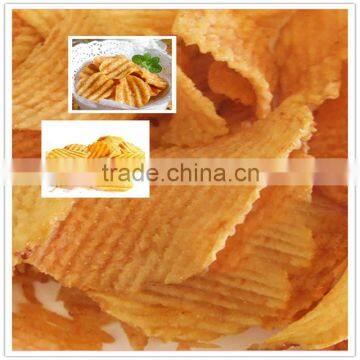 China Top Quality Fruit Washing Machine/potato Chips Plane photo-4