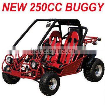 250cc Go Cart/2 seats