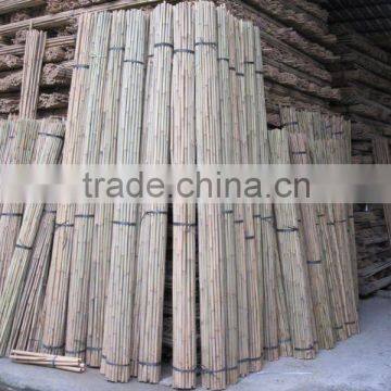 Tonkin Bamboo Stake - Bamboo cane - Natural Bamboo cane