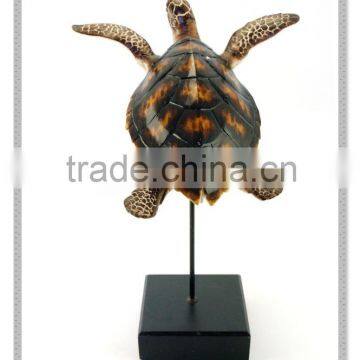 Artificial Hawksbill Turtle sea turtle with base lifelike beach living