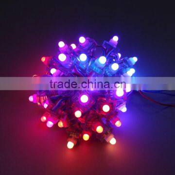 Led Christmas Lighting Dc12v WS2811 for Festive Decoration photo-3