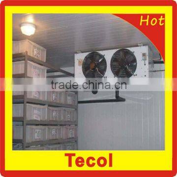 Walk in Cold Room With Refrigeration Equipment