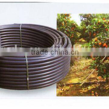 PE irrigation pipe