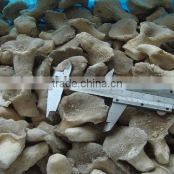 IQF oyster mushroom