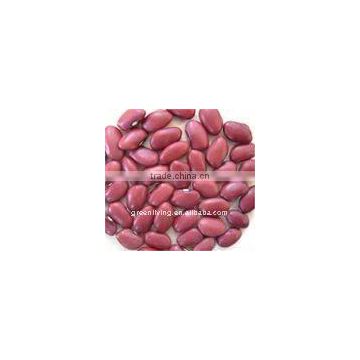 chinese fresh kidney red bean