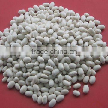 Chinese white kidney beans 180-360pcs/100g