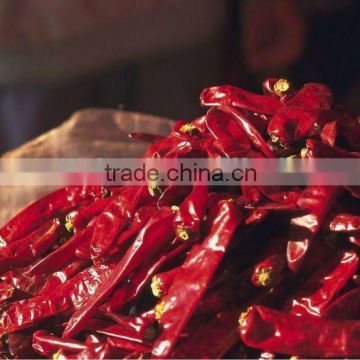 new harvest dried chilli from China