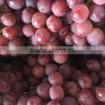 Bulk Chinese Fresh Grape For Sale