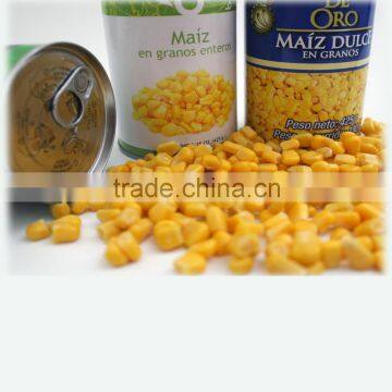 sweet corn in tin