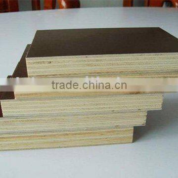 Film Faced Plywood poplar core brown film