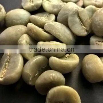 Wet Polished Robusta Green Coffee Beans S18 _ website: vinaprosales