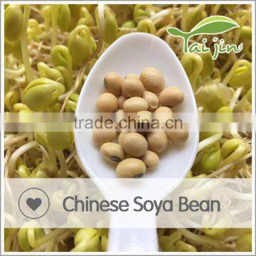 Factory Wholesale Provide Soy Beans With Competitive Price photo-6