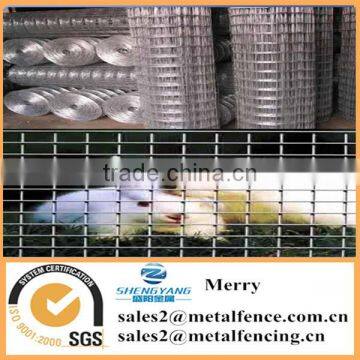 1/4X1/4 Inch 304 Staniless Steel Welded Mesh 14 Gauge Rabbit Cage Floor Mesh photo-4