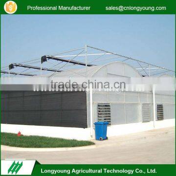 Fashion professional large growers multi-Span greenhouse supplies