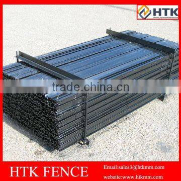 Black Y Post Star Picket for Austrlia photo-2