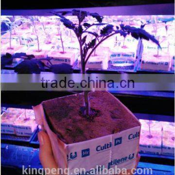 Greenhouse used hydroponic rock wool