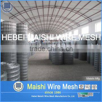 PVC Coated and Sprayed Welded Wire Mesh photo-5