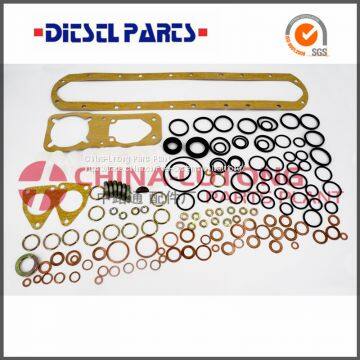 China Fuel Engine Ve Pump Distributor Repair Kit 2 417 010 005 Injector Repair kit Parts