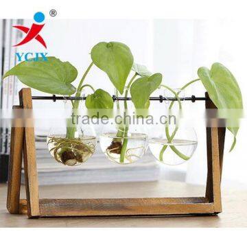 Hanging Clear Glass Plant Terrarium with Wooden Base