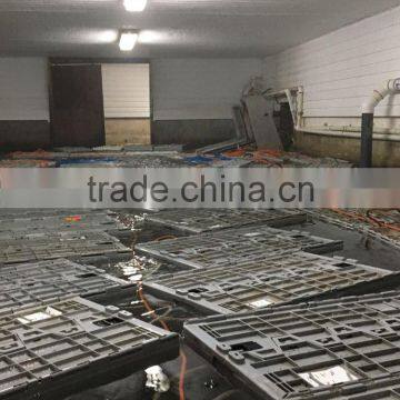 Live Canadian Lobster photo-2