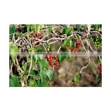 Tionospora Cordifolia photo-4