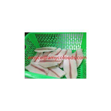 Tilapia Fillet High Quality photo-2